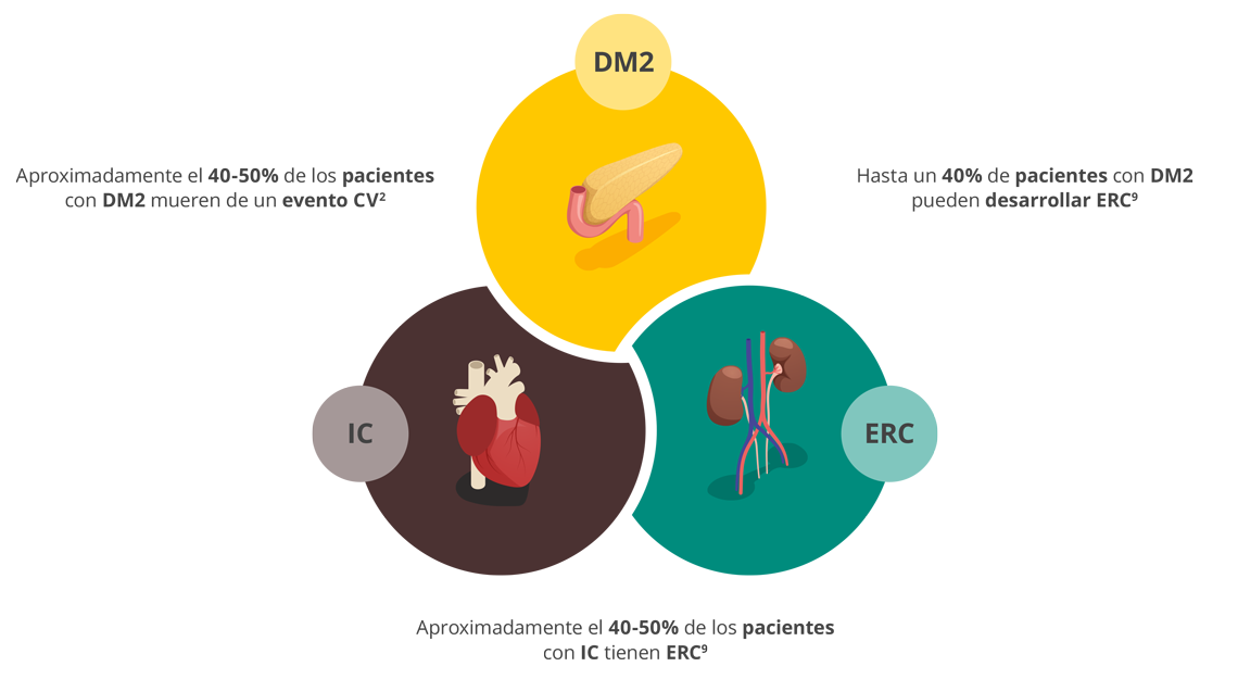 Paciente CRM