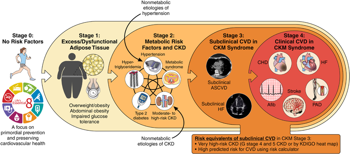 Una pobre salud cardiovascular-renal-metabólica