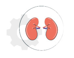 57% menos de riesgo de enfermedad renal terminal