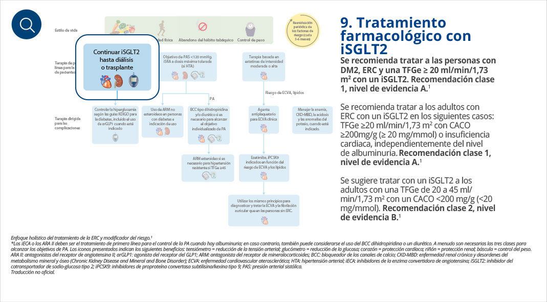Tratamiento farmacológico con iSGLT2
