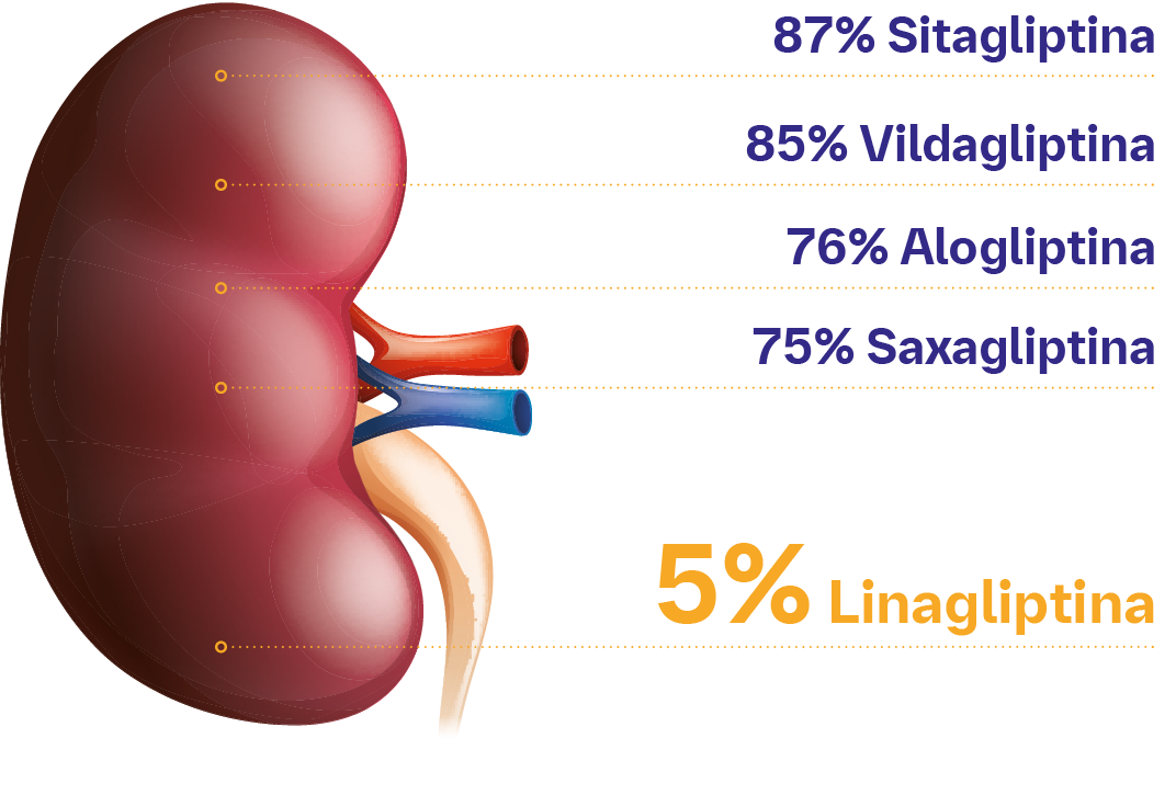 Elige eficacia y seguridad independientemente de la función renal