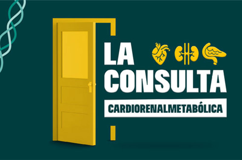 LA CONSULTA CRM