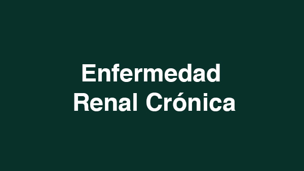 Enfermedad Renal Crónica